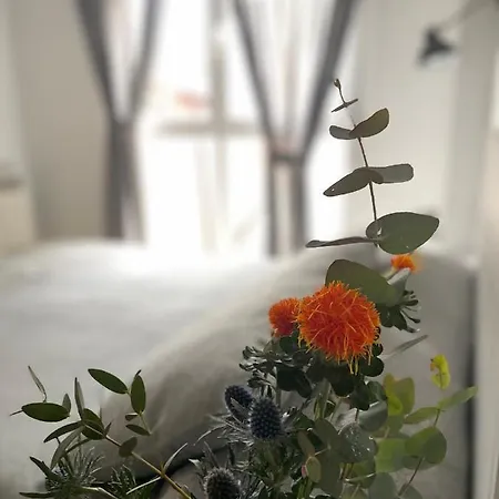 Mabi L'atelier * Vitoria-Gasteiz